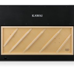Kawai CA-901 EP