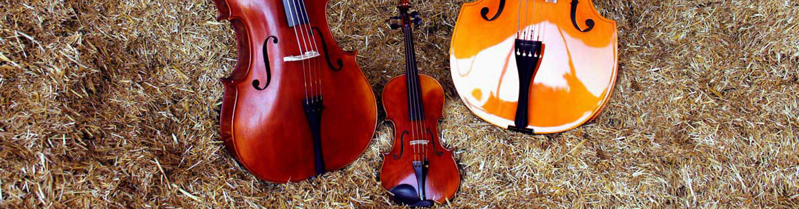 Geige, Cello, Bass